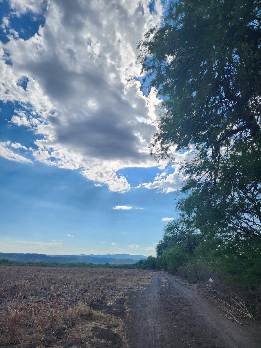 Martin Herrz tweet media