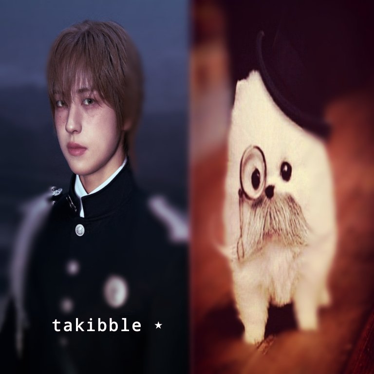 wren ⋆ tweet media