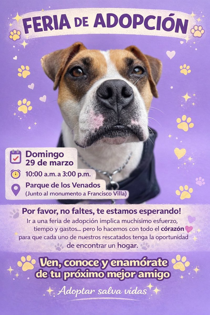 𝙷𝚎𝚕𝚊 𝙼𝚘𝚛𝚎 🐶 tweet media