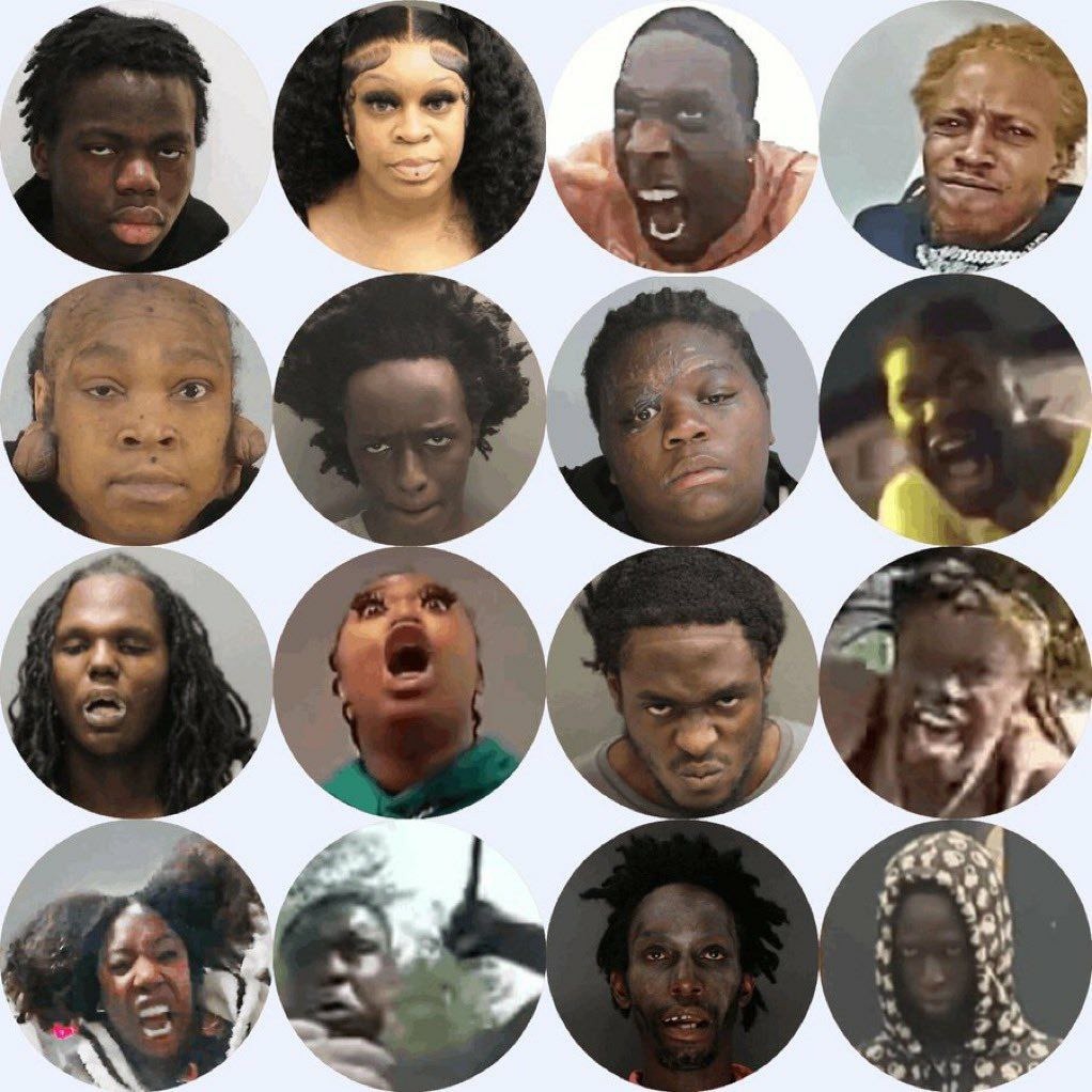 John Hopkins tweet media