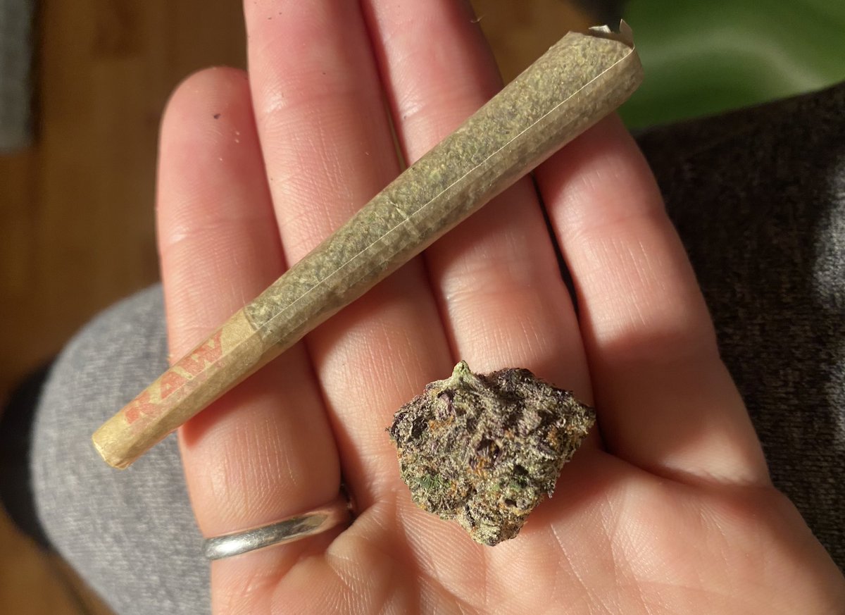 ₊˚✧𑁍.ೃ࿔Drey Anastasio 𓆉𝄞⨾𓍢ִ໋: tweet media