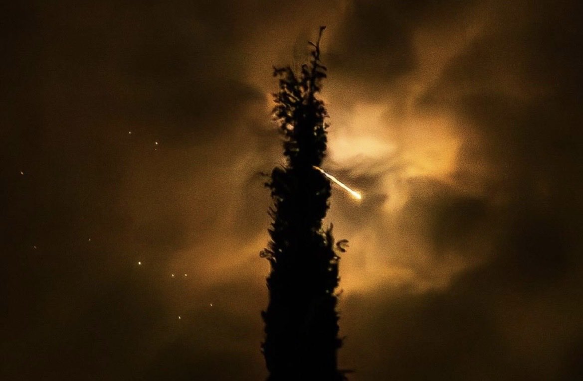 Leyla paydar tweet media