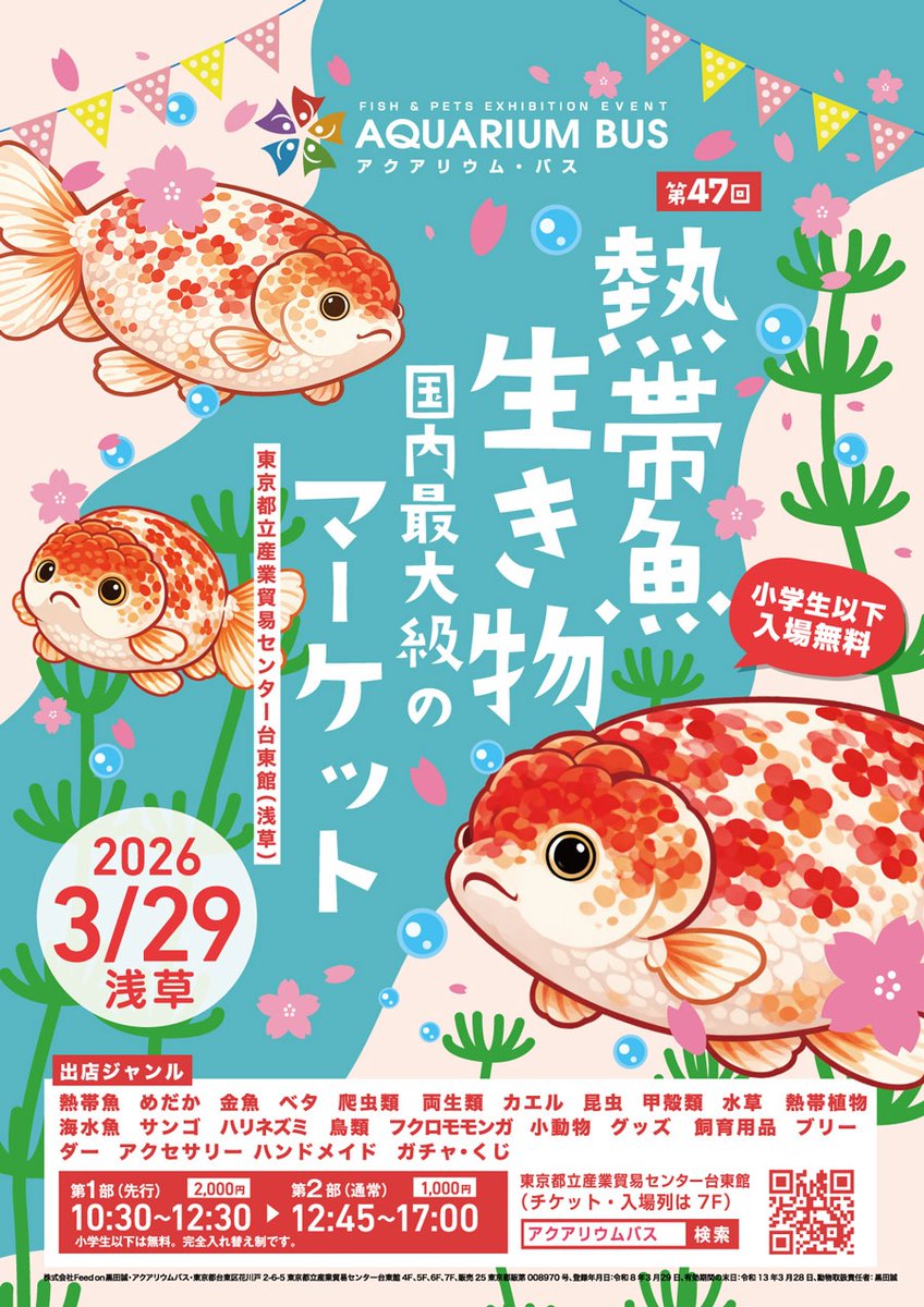 Elasmobranch_JP's tweet photo. 第47回アクアリウムバス　参加します！

CBのカメ類の他、日淡、標本類など
もりもりで向かいます！
詳細は後日お知らせします！
お楽しみに！！

#アクアリウムバス #アクバス
#カメ #爬虫類 #海水魚 #淡水魚 #熱帯魚 
#標本 #深海生物 #深海魚 #サメ https://t.co/EpUlg1Ni9z