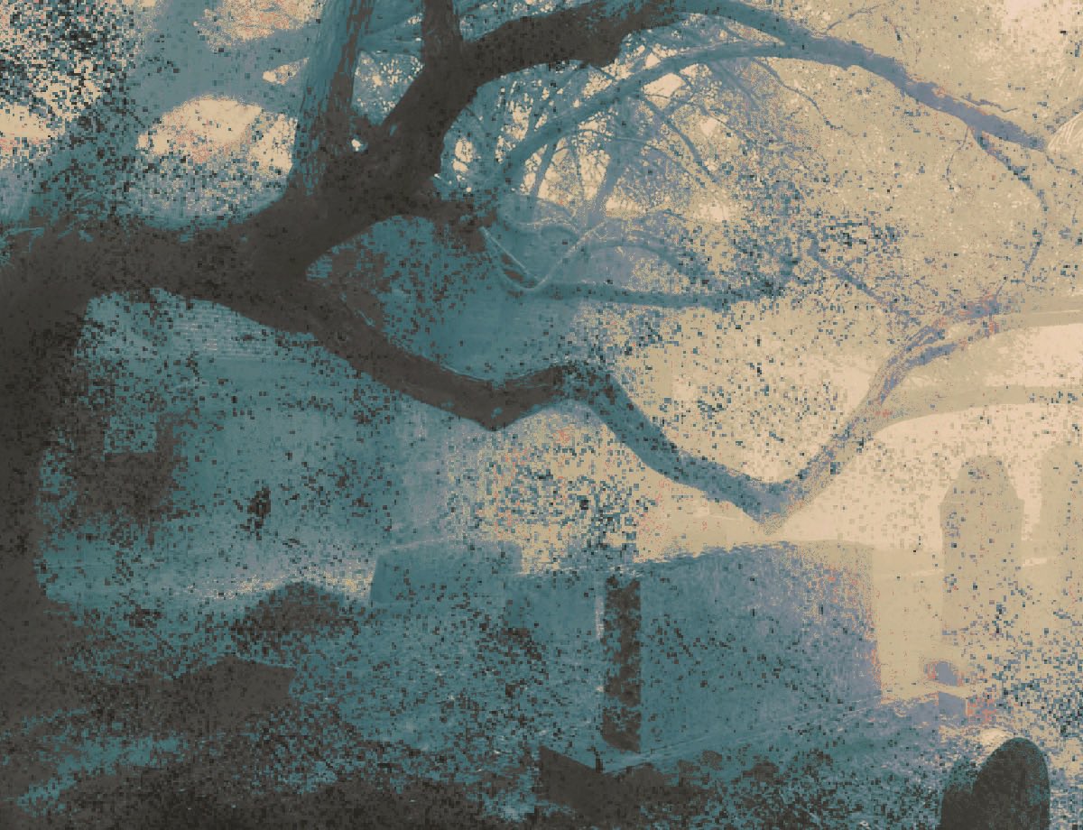 𝔄𝖭𝙳𝑅𝙴𝒜 tweet media