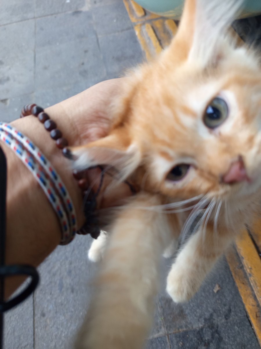 ❣️🇮🇩🅰️I=z=z=🅰️=k tweet media