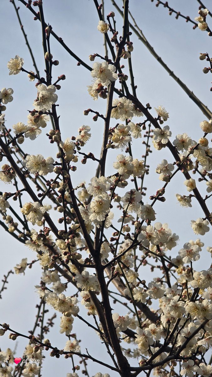 💗우린 얼마나 멋진 인생입니까?🌸

삶 자체에만 지나치게 집착하기 때문에 자신을 잃어가고 있습니다.

자신을 믿읍시다. 자신감이 힘입니다. 자신은 이 세상에 하나뿐인 존재입니다.

자기만이 할 수 있는 일이 있습니다. 긍정적이고 적극적인 사고를 합시다.

인생을 자신의 것으로 만들고 사랑을