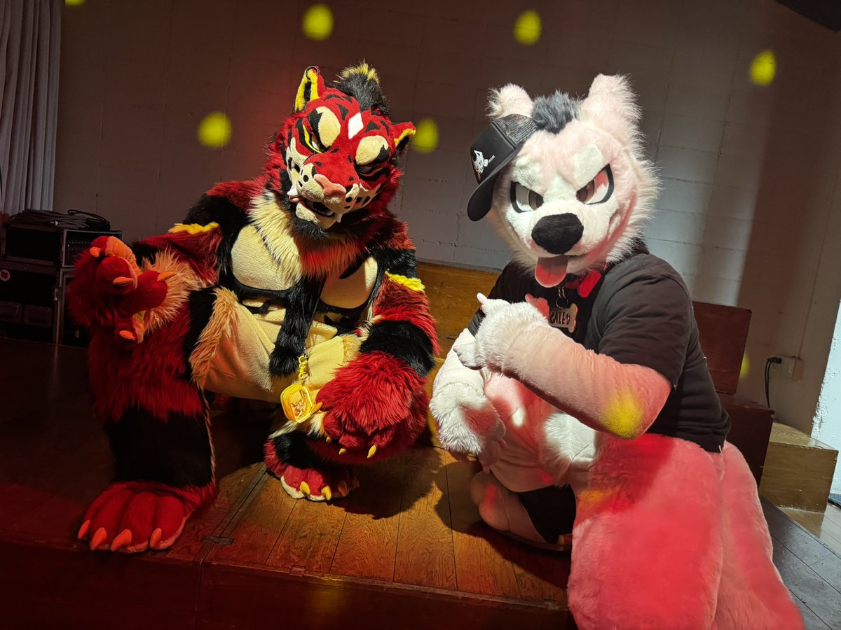 ケイシ(KC)🔜 tweet media