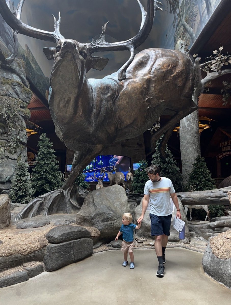 Hunter Schenewark tweet media