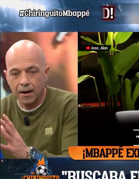 محمود مجيد tweet media