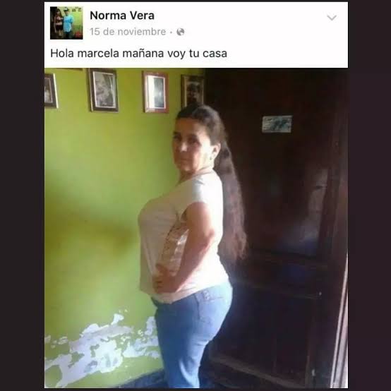 𝙏𝙝𝙚 𝙈𝙤𝙣𝙜𝙤𝙤𝙨𝙚 tweet media