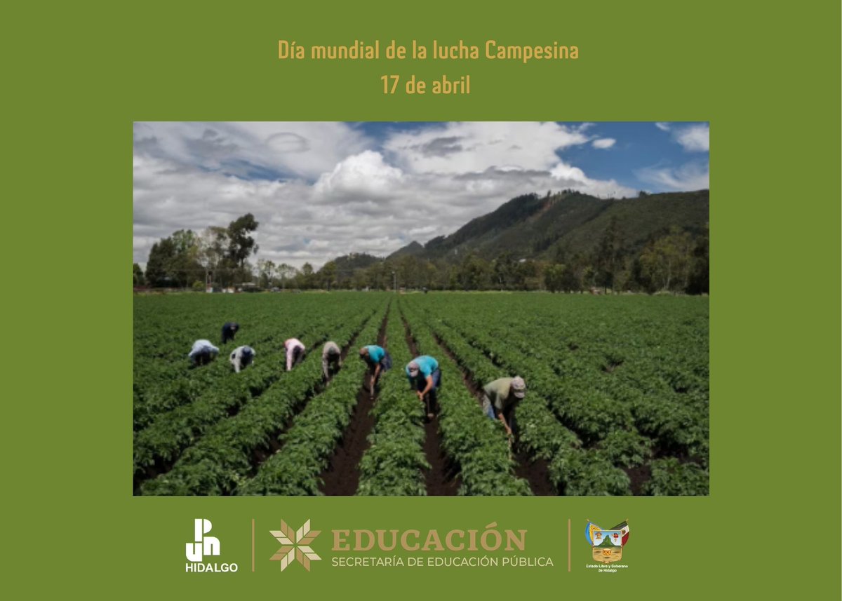 UPN-Hidalgo tweet media