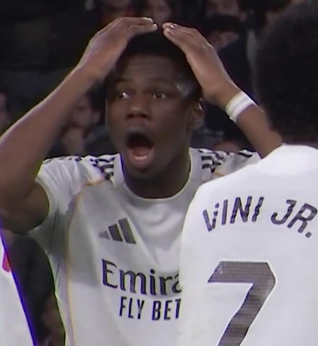 ️️ ️️ tweet media