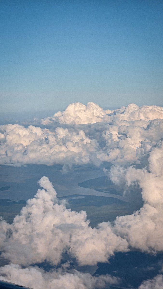 omar erre tweet media