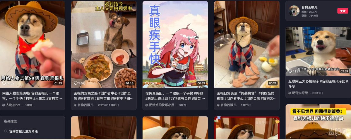 BNB#HALO tweet media