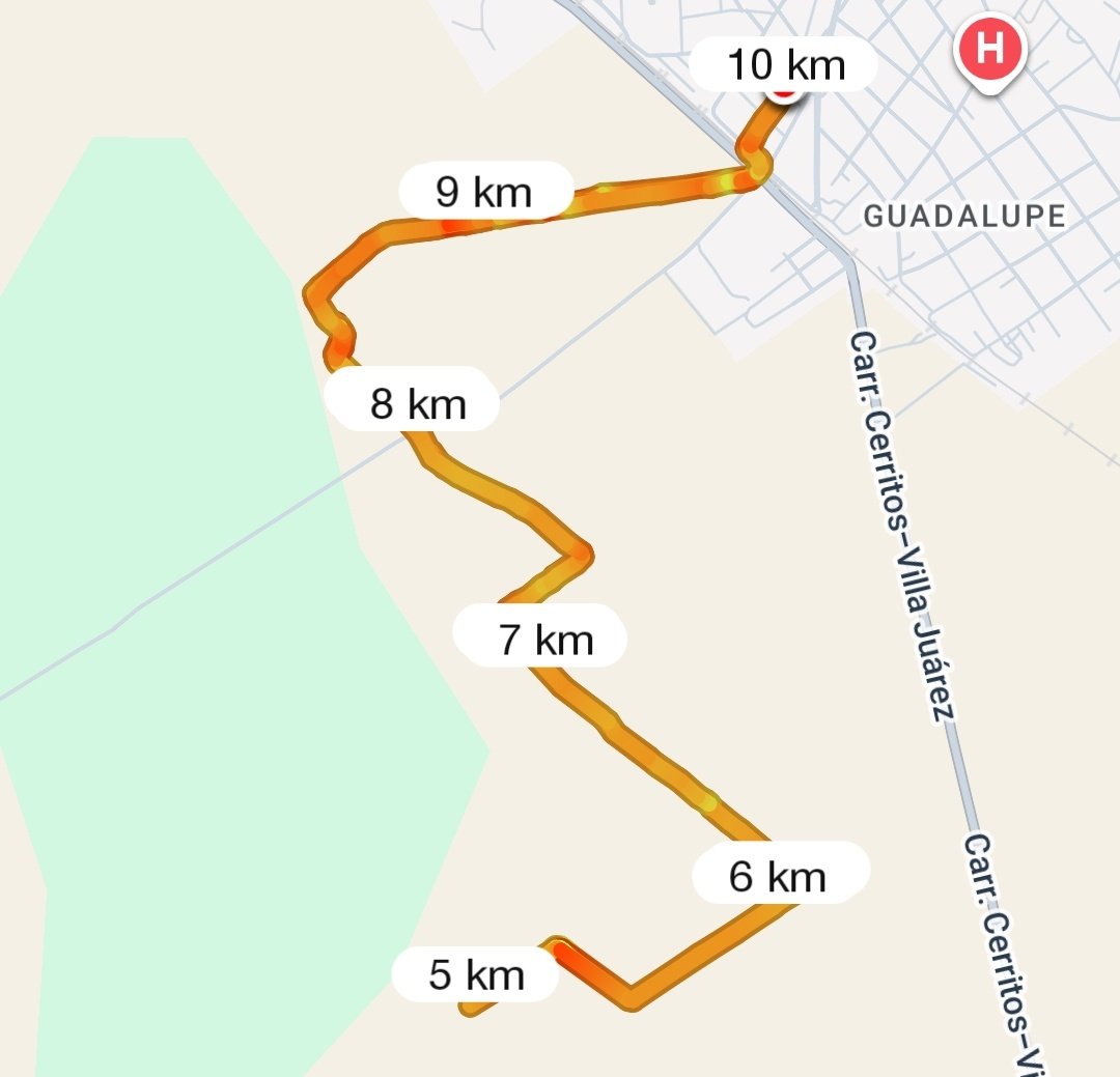 Martin Herrz tweet media