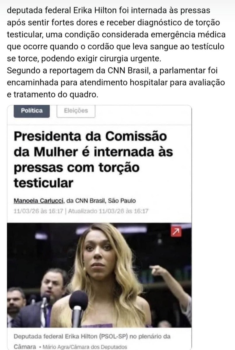 ULYSSES CALMON 🇧🇷🇺🇸 tweet media