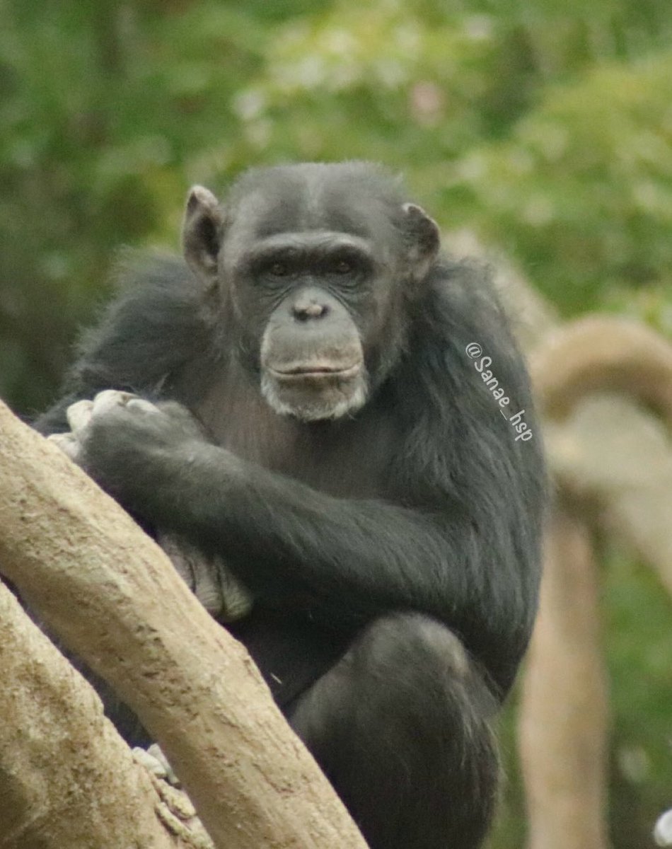 big river tweet media