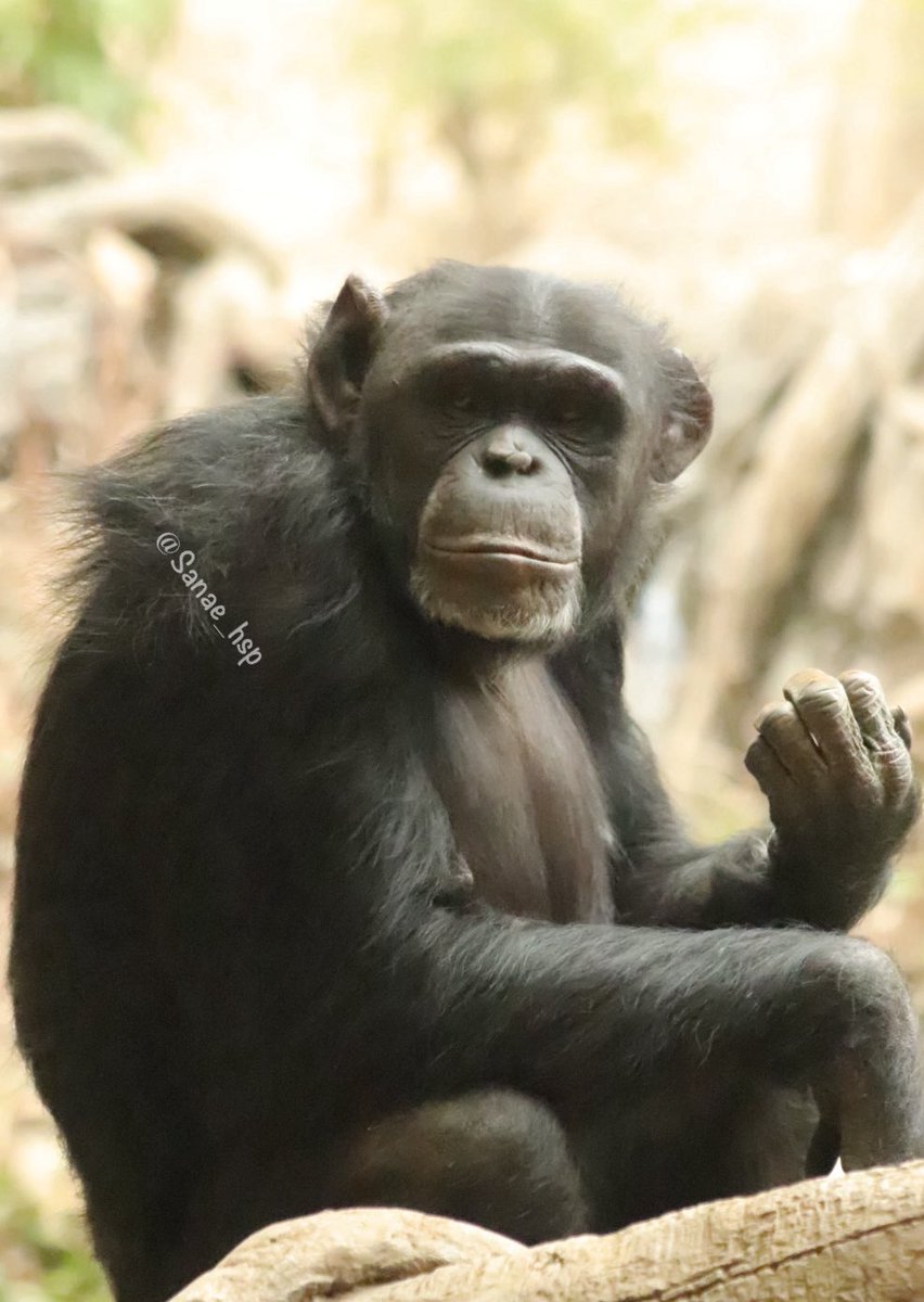 big river tweet media