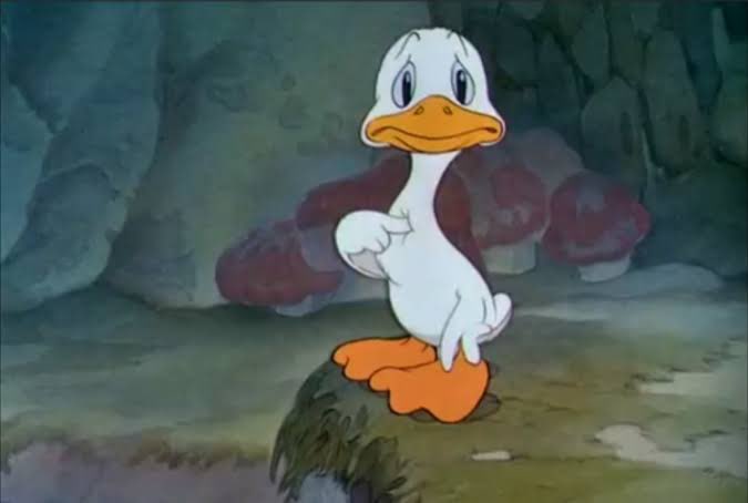 Patrick Raposo tweet media