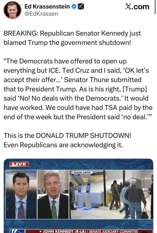 elseagee 🟧 🌊 🌊 🌊🎨 🎸 tweet media