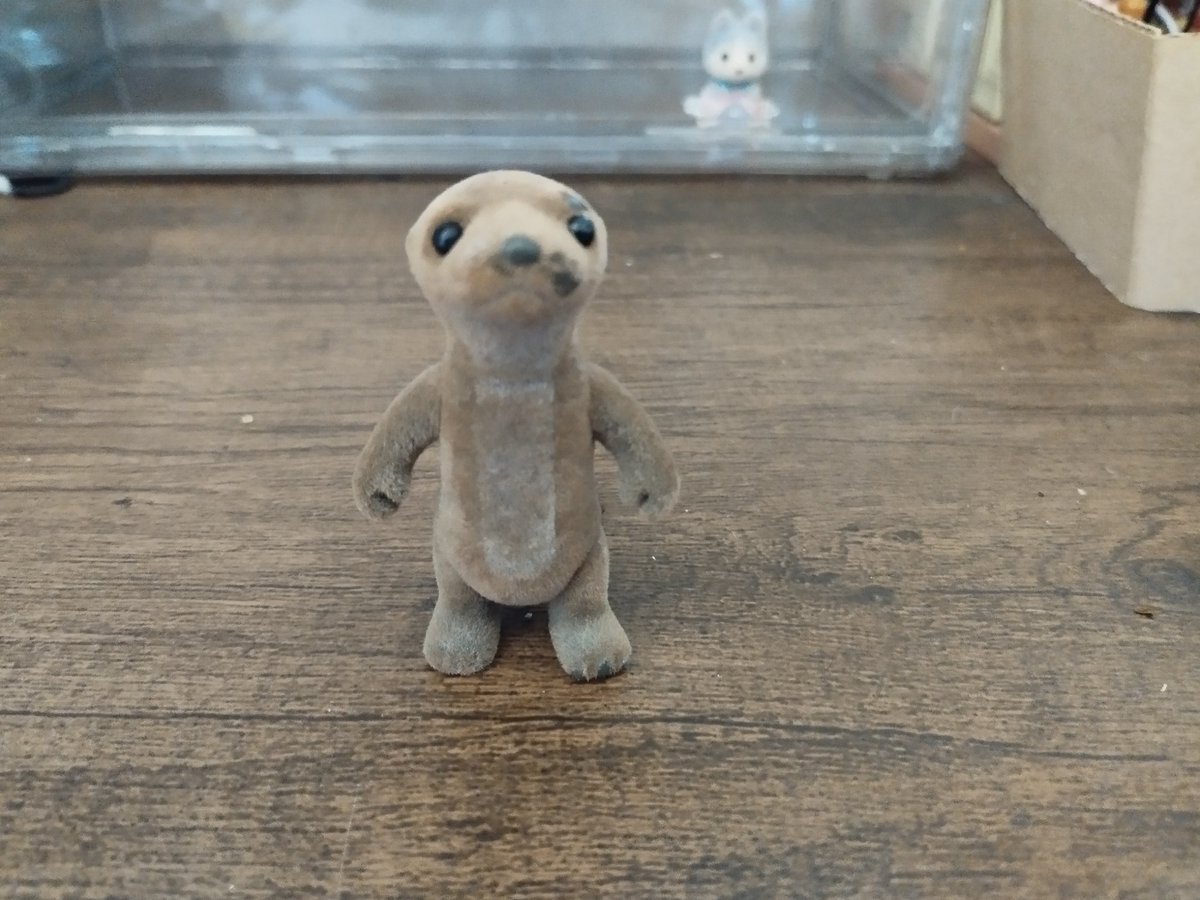 🧶 calopsita do crochê - AGENDA DE ABRIL ABERTA tweet media