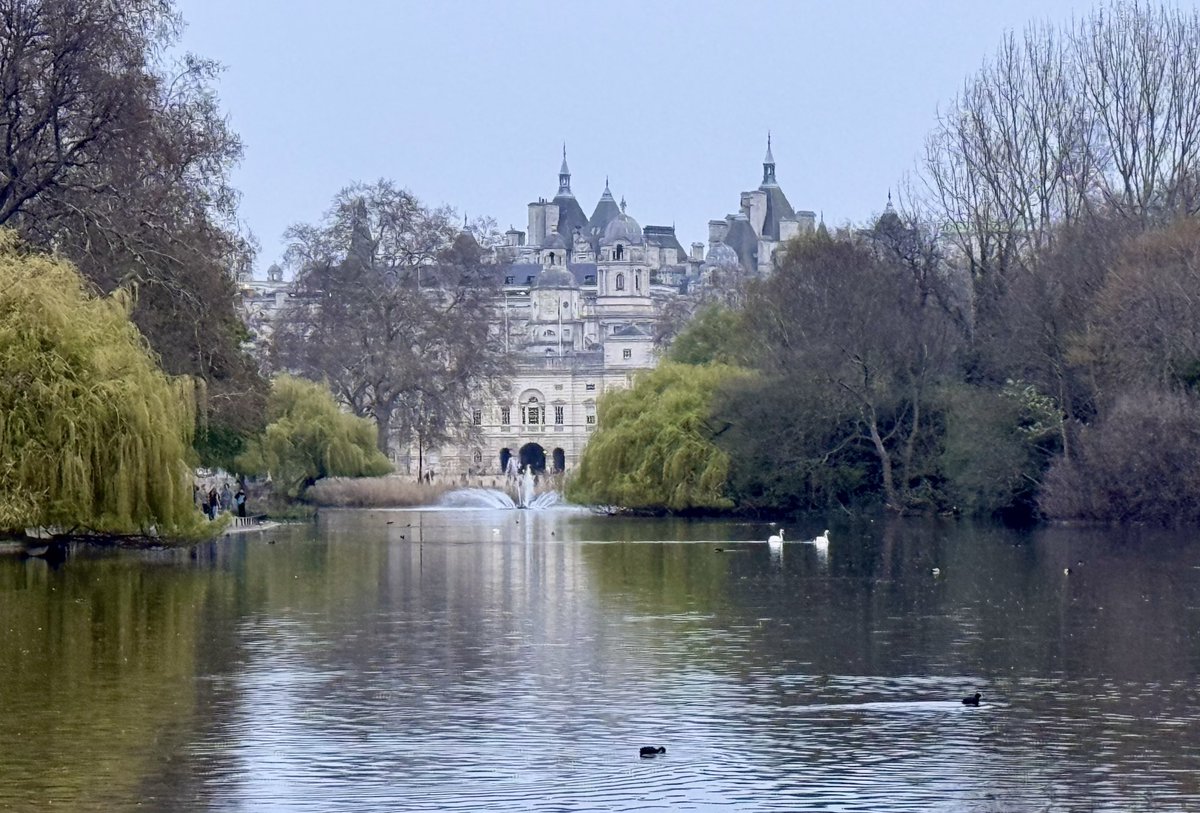 Lilase Hakoun tweet media