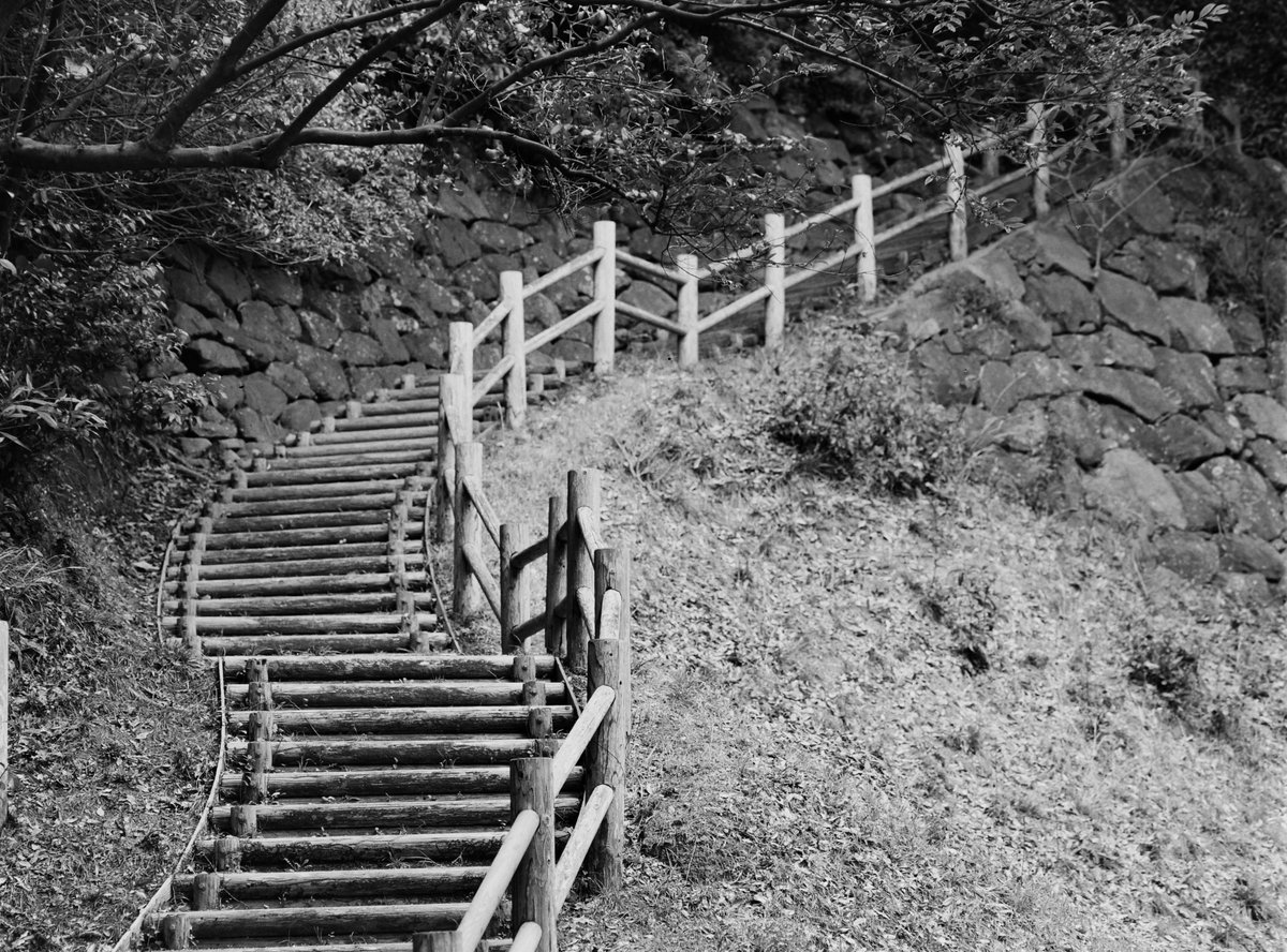 VØNPhoto tweet media