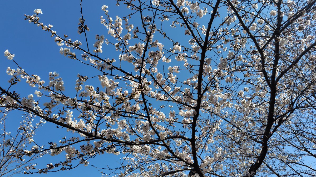 綺麗で嬉しくて悲しい季節