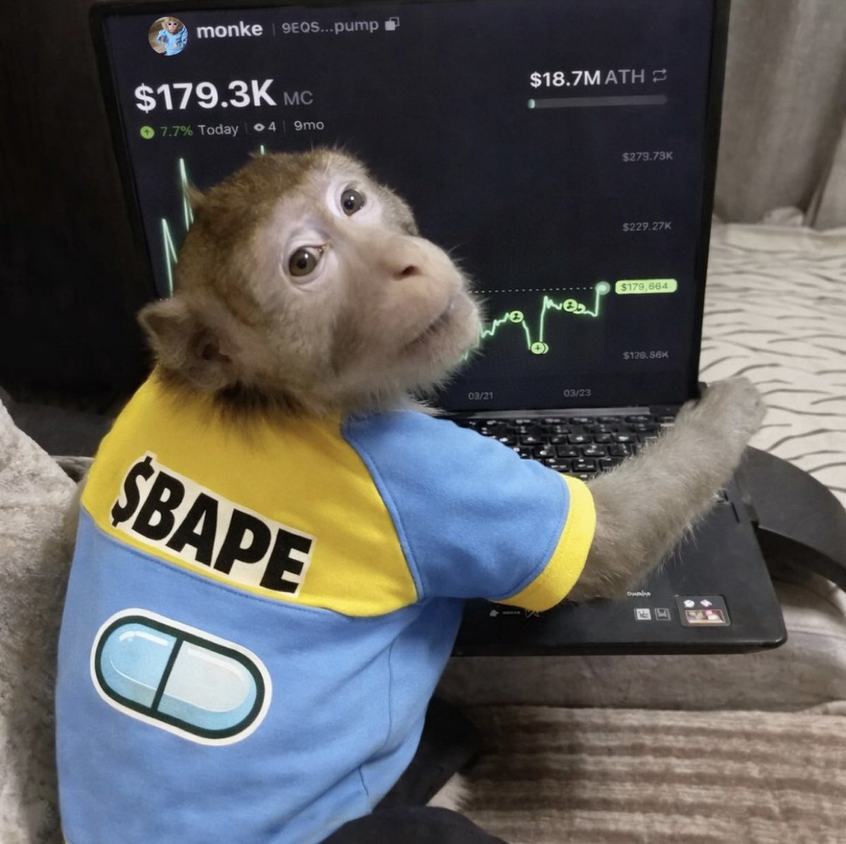 souljabryce tweet media