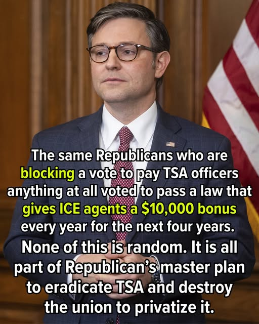 elseagee 🟧 🌊 🌊 🌊🎨 🎸 tweet media