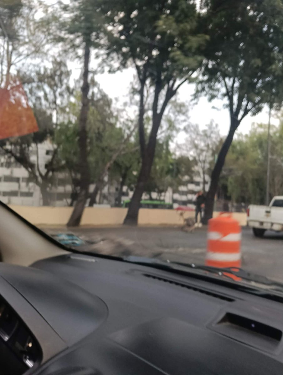 Tlalpan Vecinos tweet media