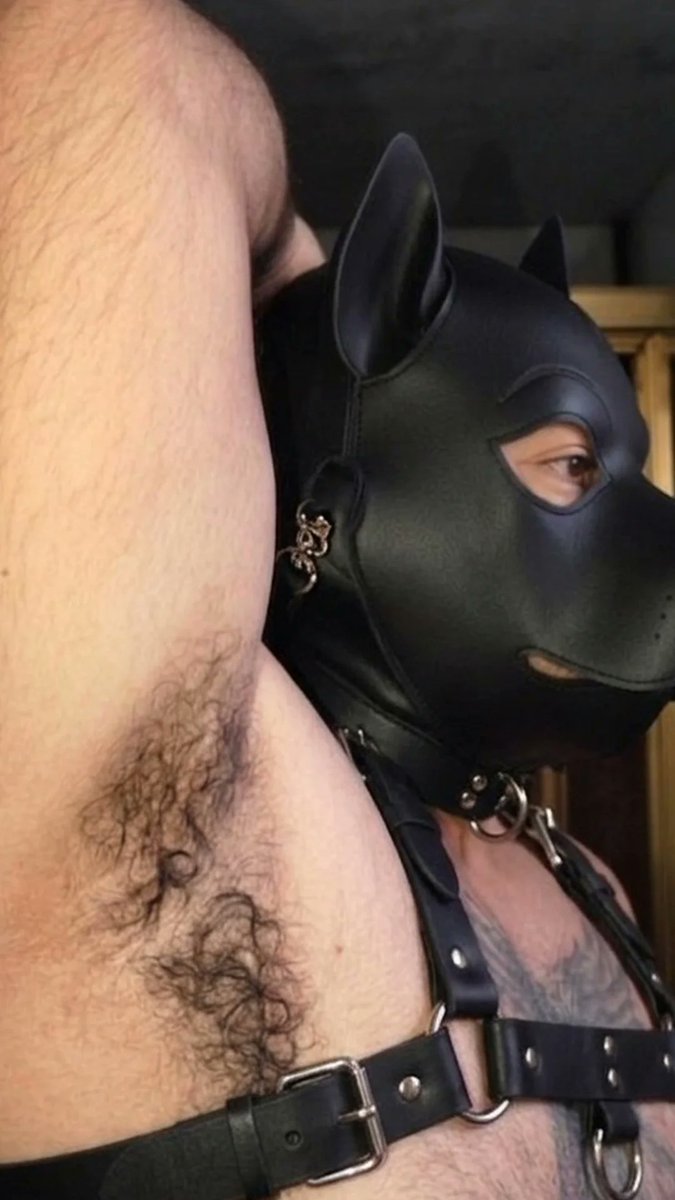 Dreams.Catcher0919 tweet media