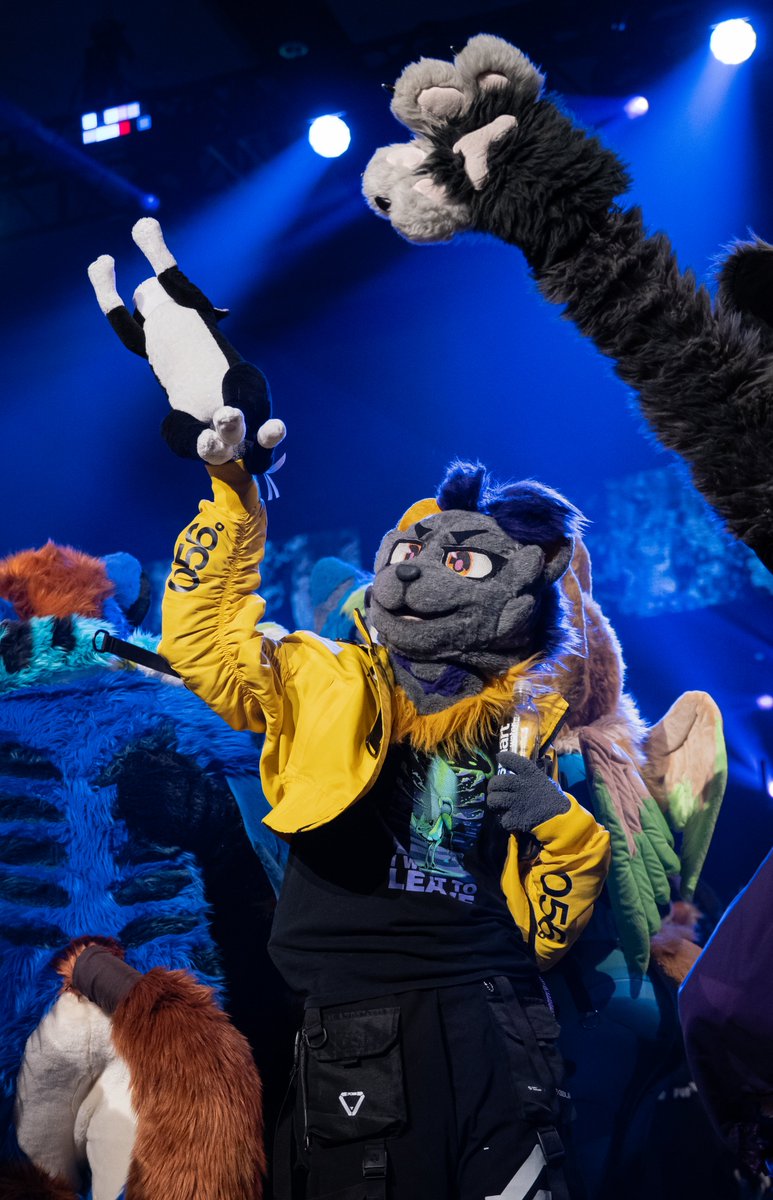 Flow the Wolf - F2 tweet media