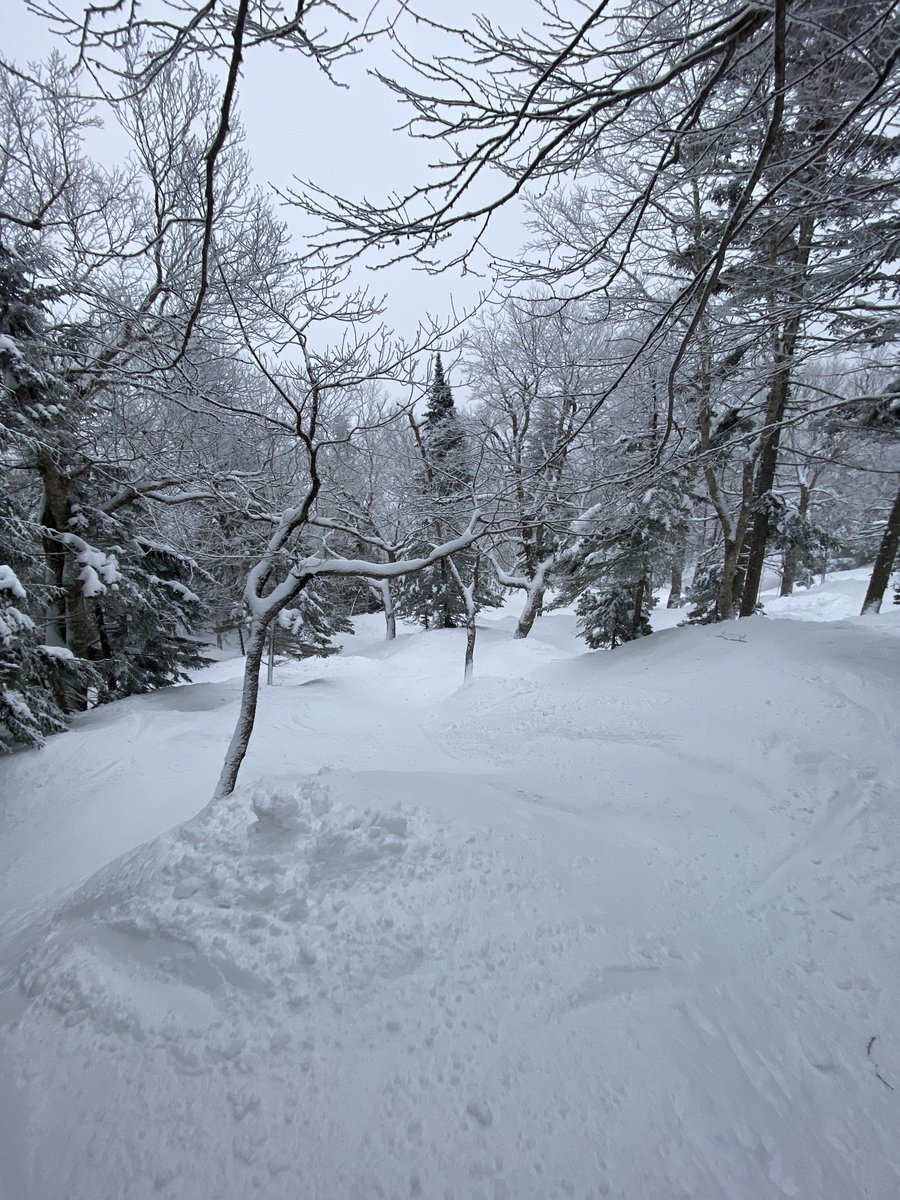 Lincoln in the Adirondacks ⛷️ tweet media