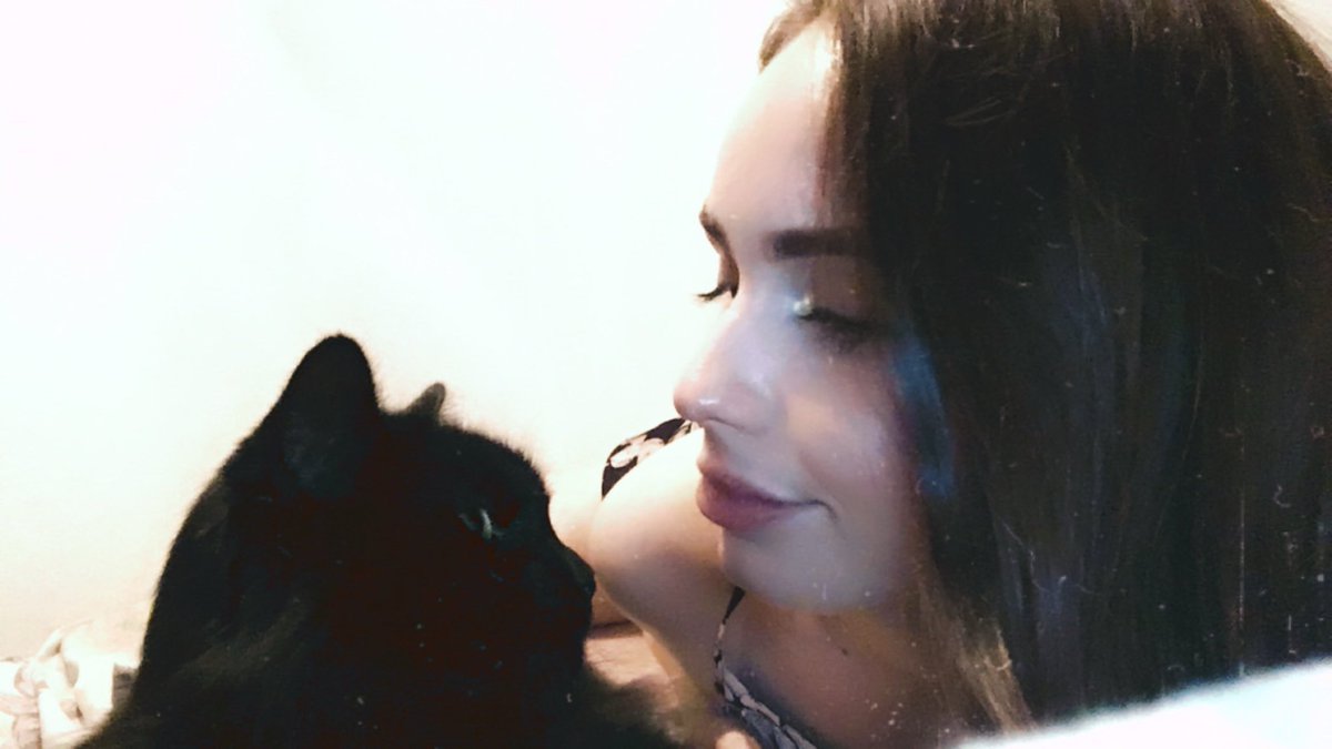 knee 🌙 tweet media