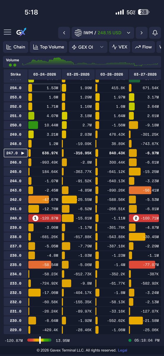 GaVex Terminal tweet media
