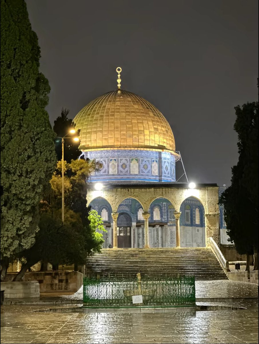 عبود بطاح🇵🇸 tweet media