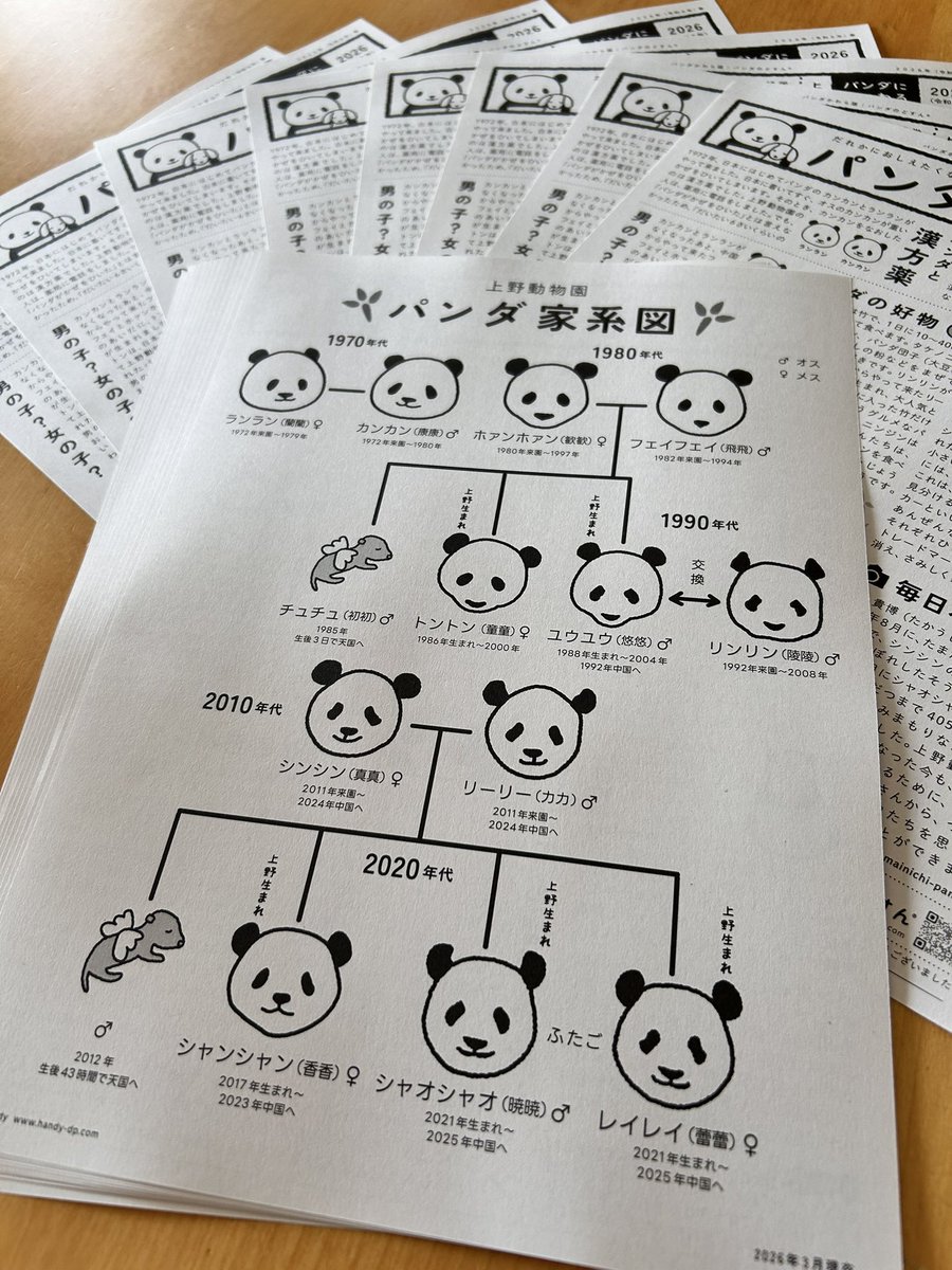 handy - デザイン⚫︎イラスト⚫︎絵本 tweet media