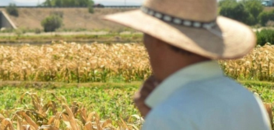 ANEC, A.C. tweet media