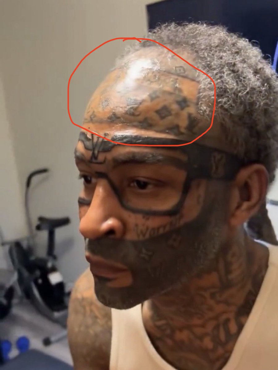 Beaver 🦁 tweet media