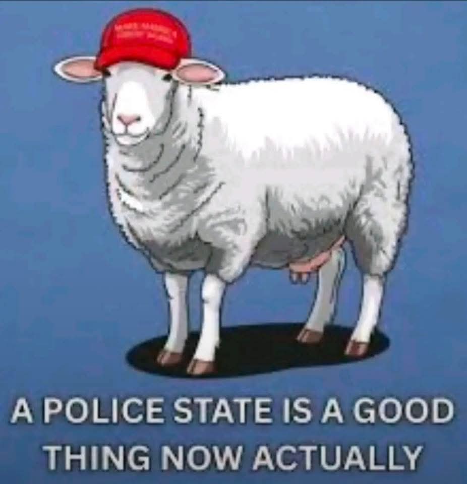 Phuture oneoone tweet media