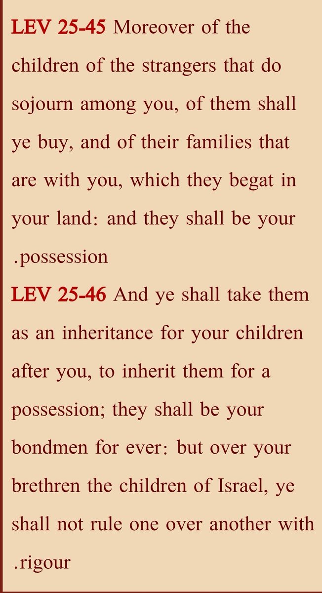 مصطفى مجدي tweet media