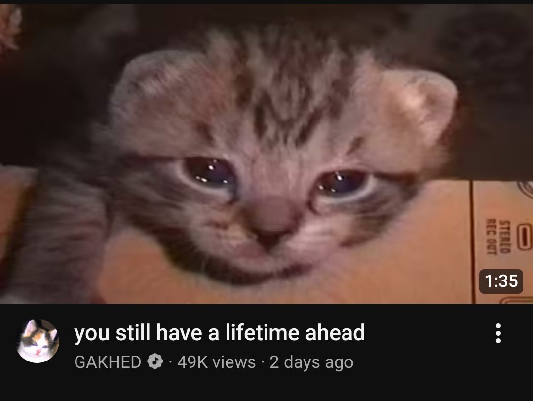 High Roads Drifter tweet media