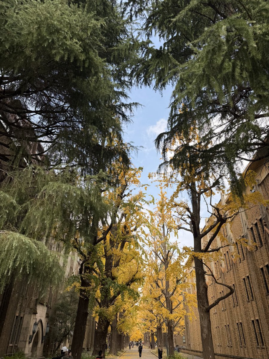 とも!⏰ tweet media