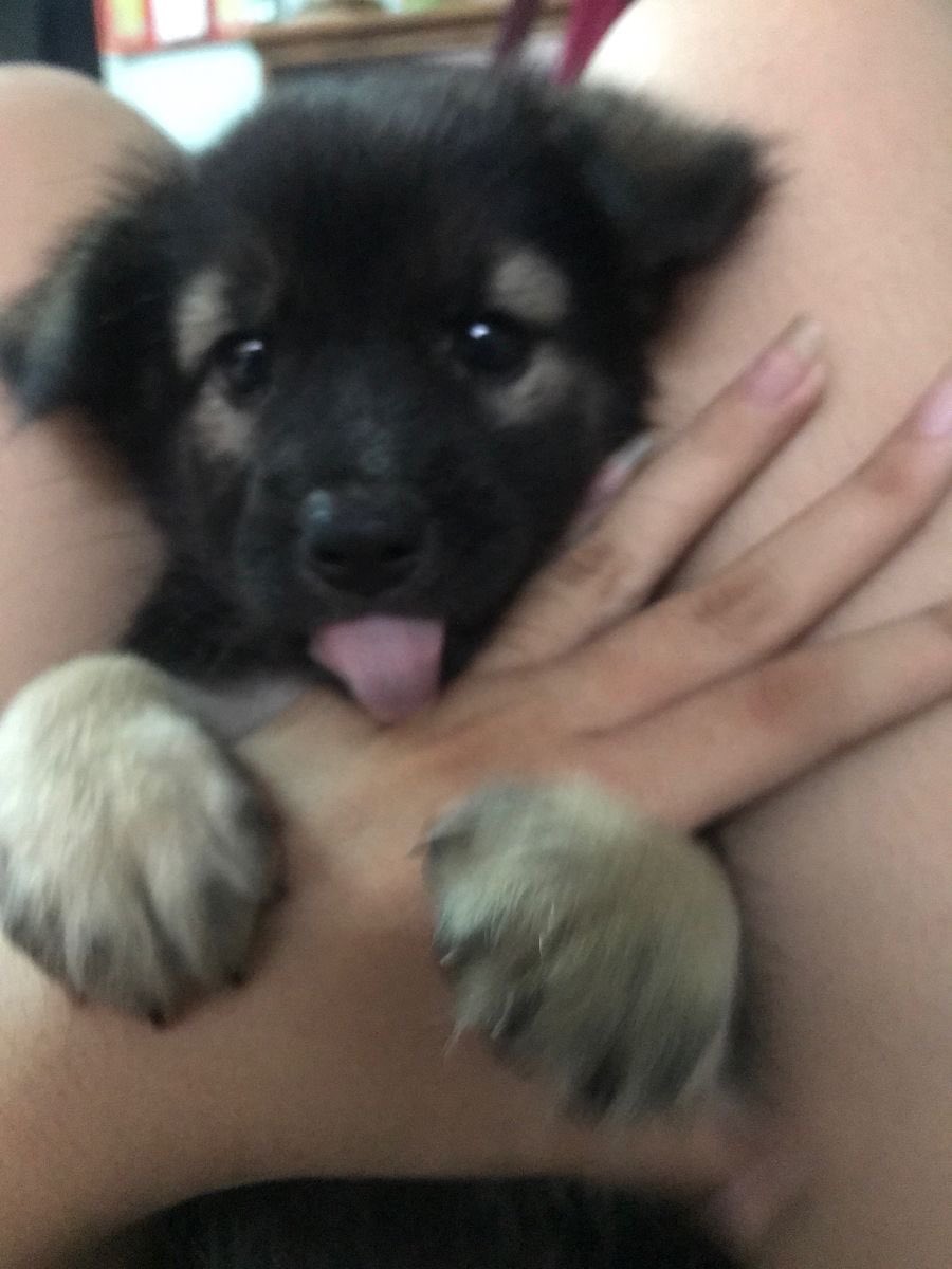 SiliGremlin tweet media