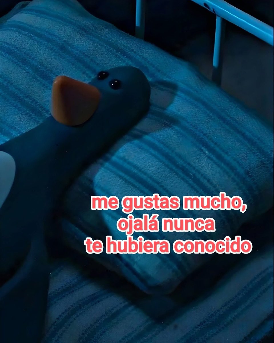 Cap Briagowsky tweet media