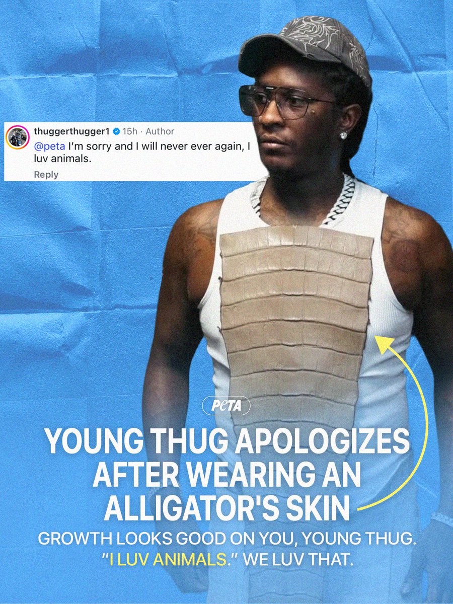 PETA tweet media