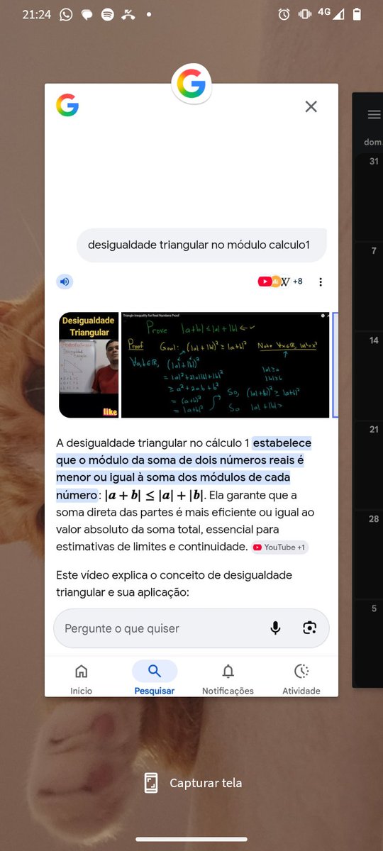 1ª Igreja Hantólica Omeglicana Afro-Brasileira tweet media