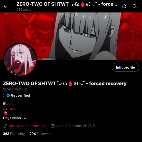 ZERO-TWO OF SHTWT ˚₊‧꒰ა🩸໒꒱ ‧₊˚ tweet media