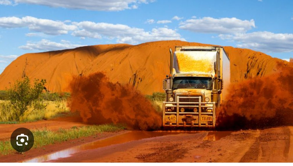 CuriousCat😺 tweet media